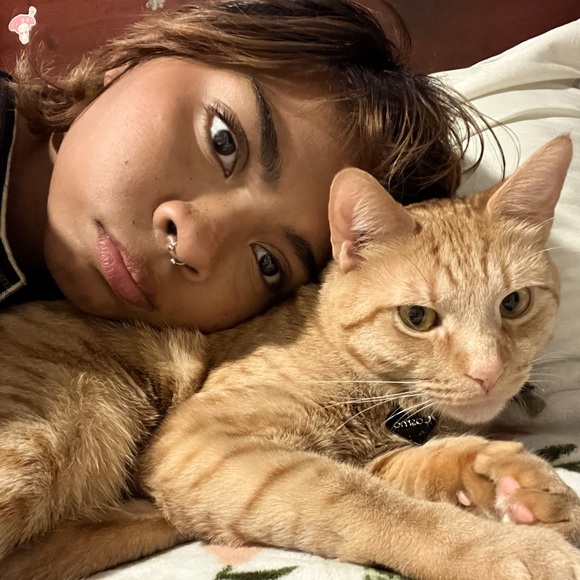 Meet your Posher, Lizy - Picture 1 of 1